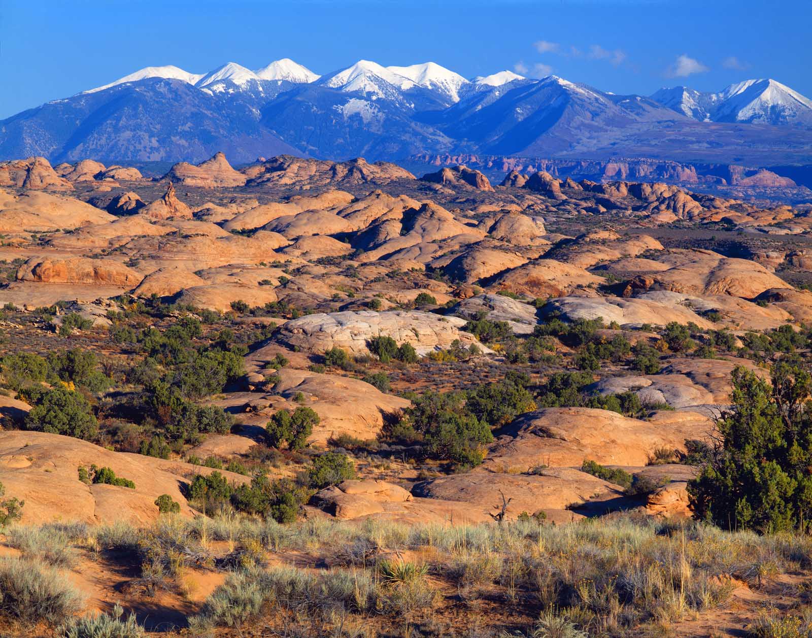 Things to do in Moab La Sal Mountains