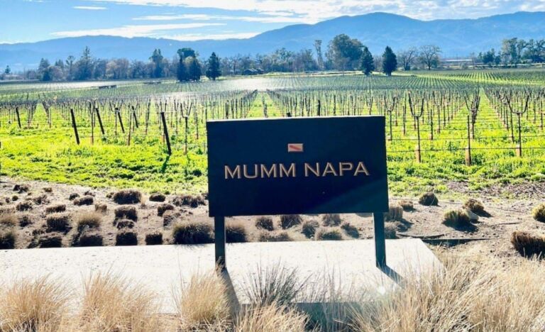 visit napa valley mumm napa