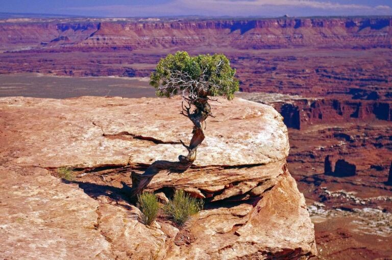 Canyonlands National Park Hiking Trails