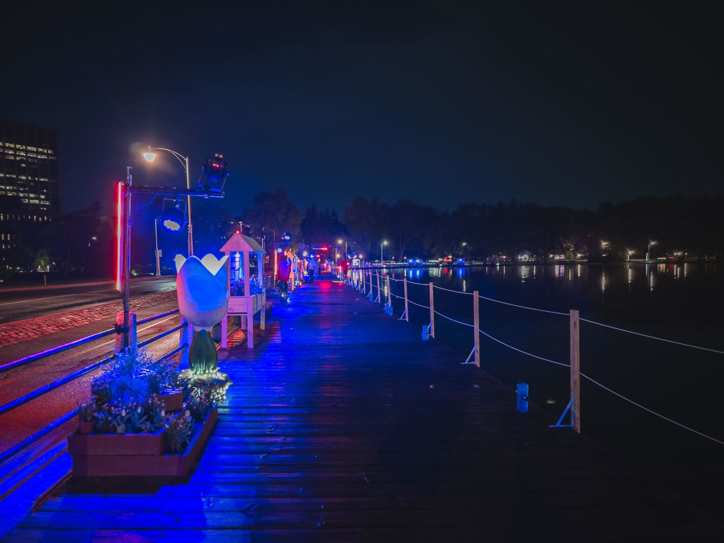 Ottawa Tulip Festival Blacklight Boardwalk