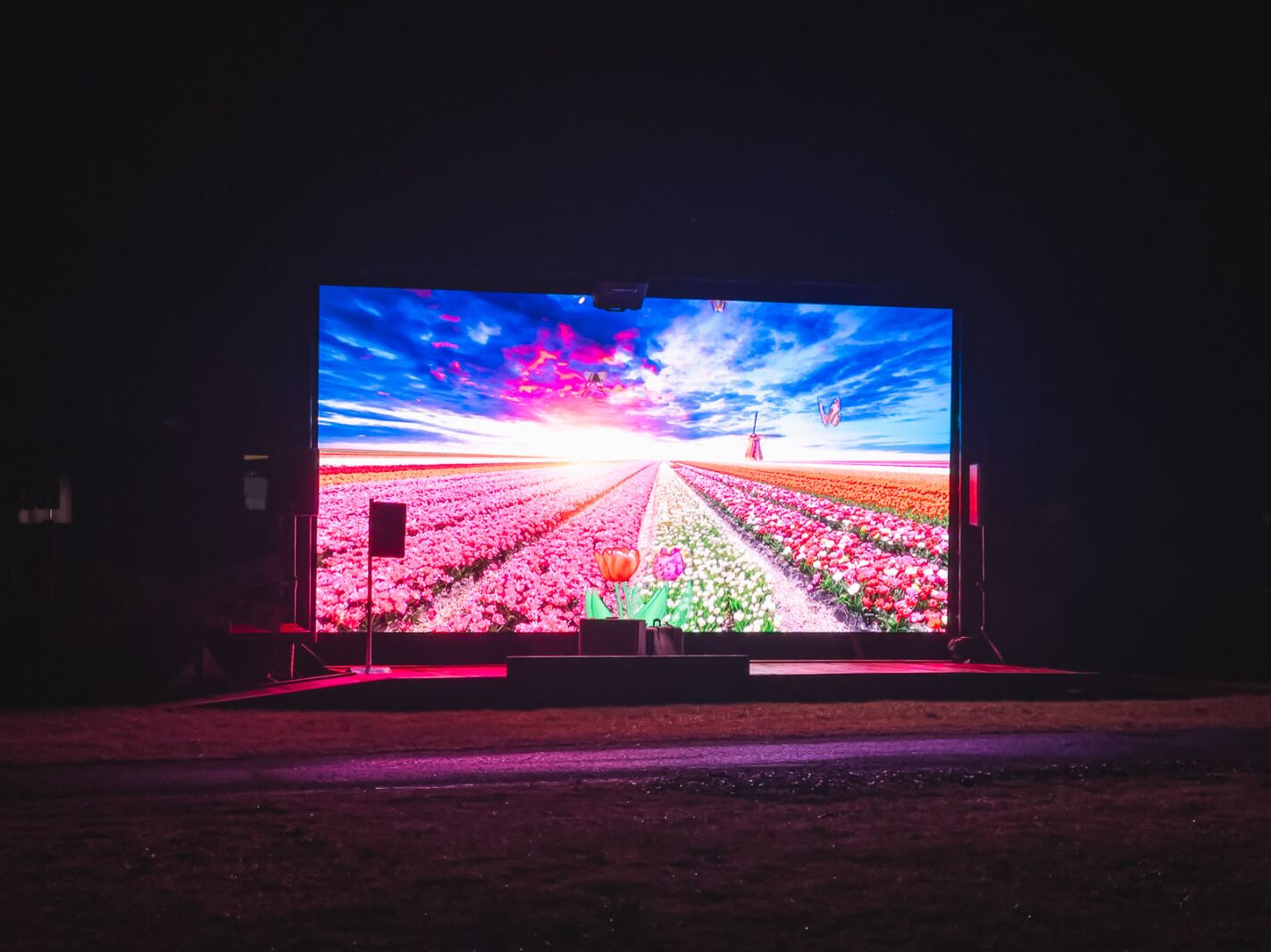 movies and tulips