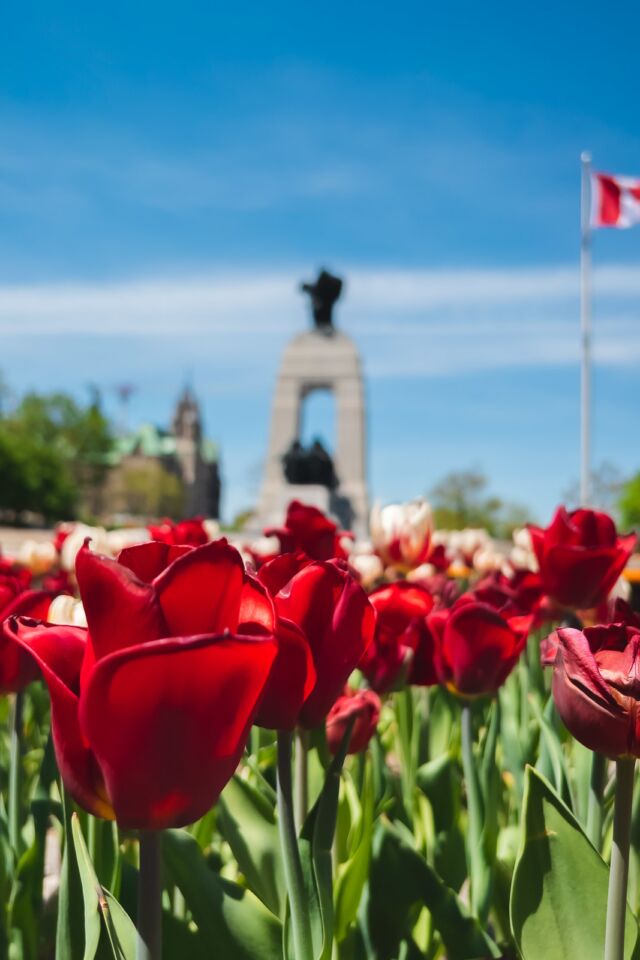 Ottawa Tulip Festival National War Memorial