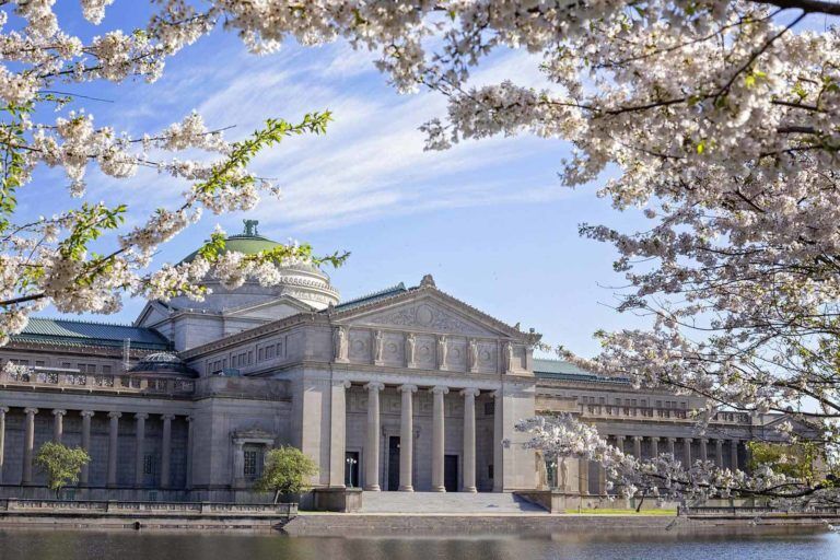 museum of science and industry