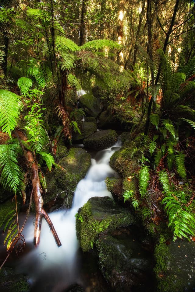 off the beaten path