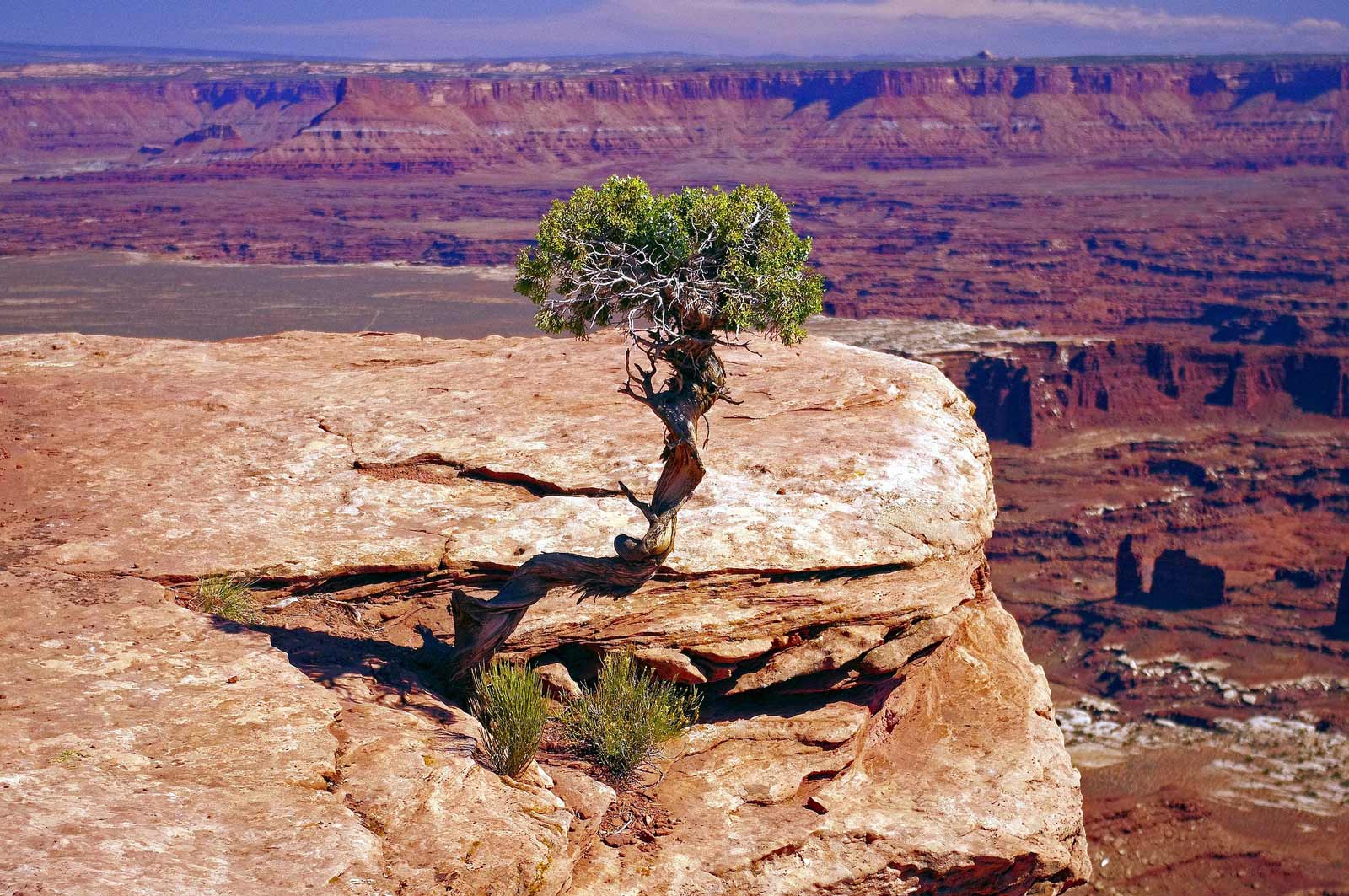 Canyonlands National Park hiking Trails