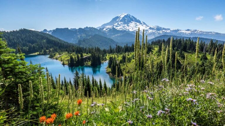 best hikes in mount rainier national park tolmie peak