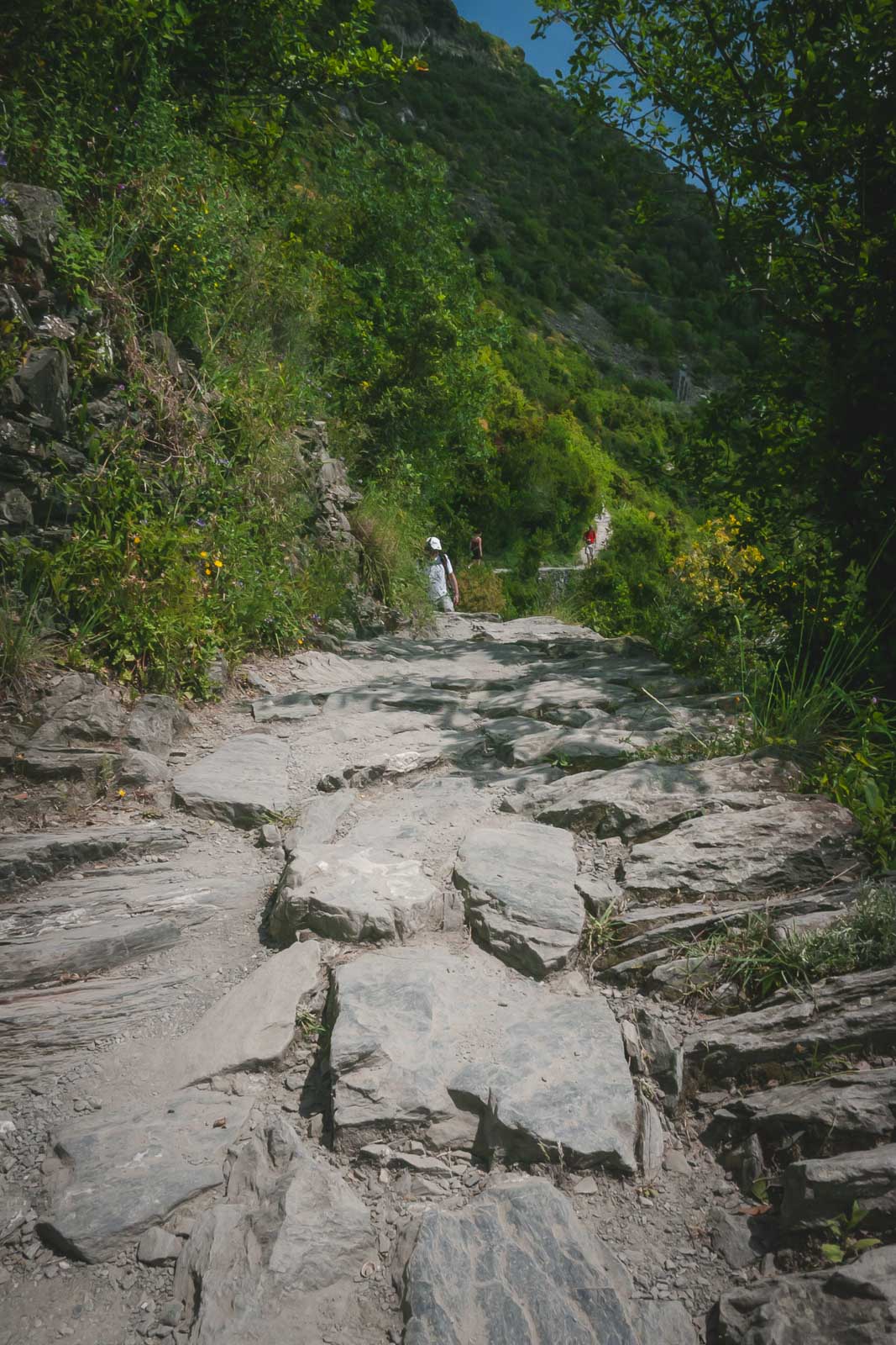 Cinque Terre Trails