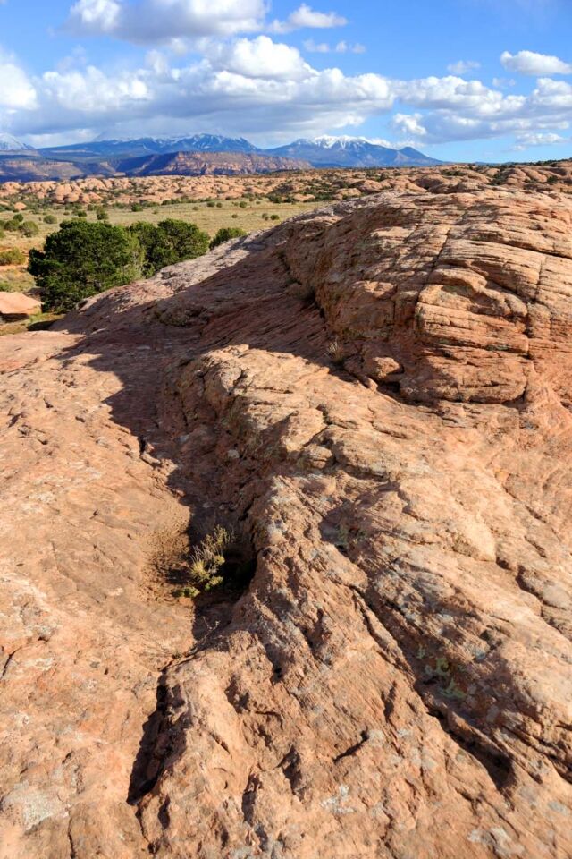 Things to do in Moab Sand Flats Recreation Area