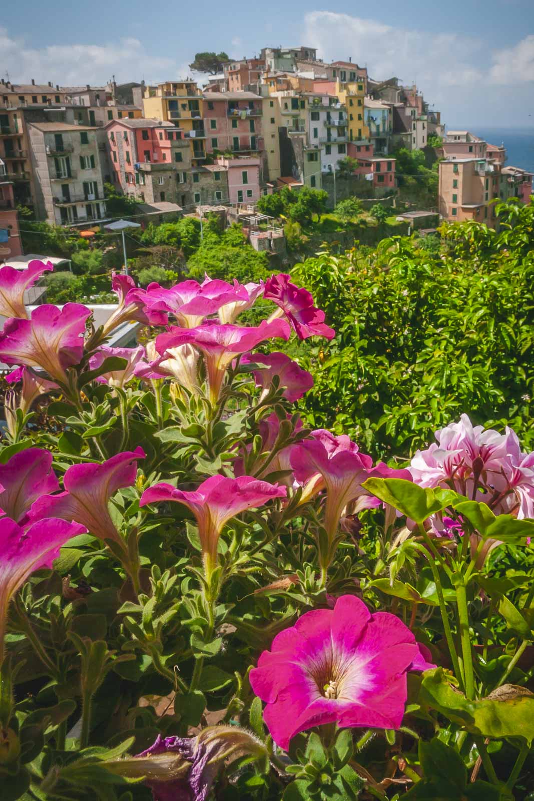 Where to stay in cinque Terre Manarola