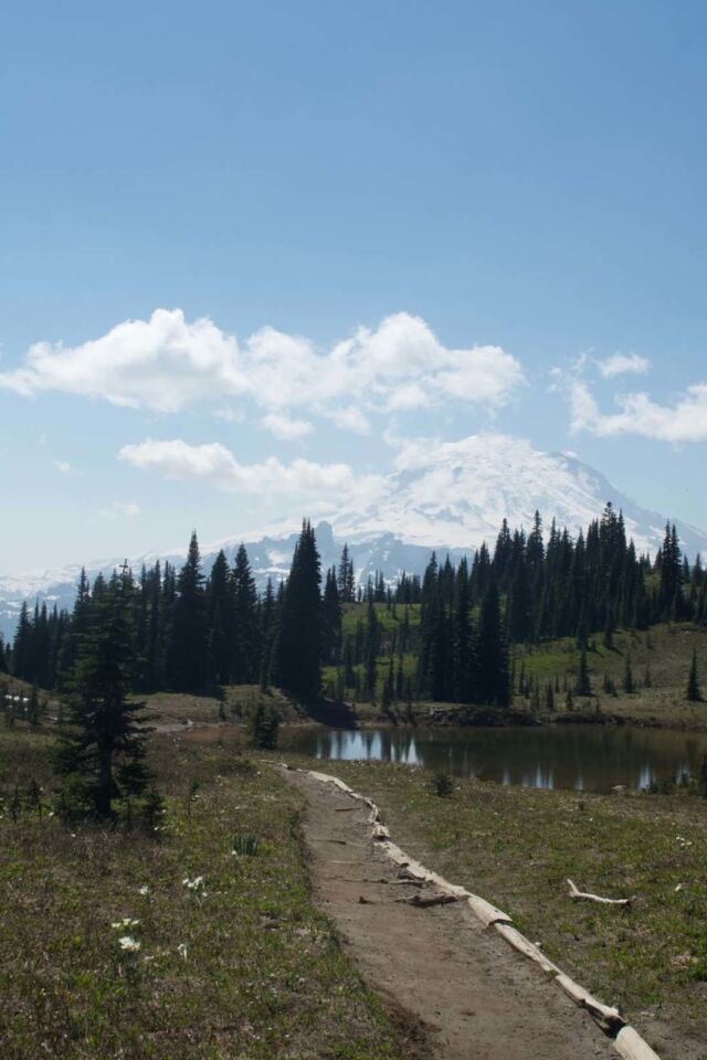 best hiking trails in mount ranier naches peak loop