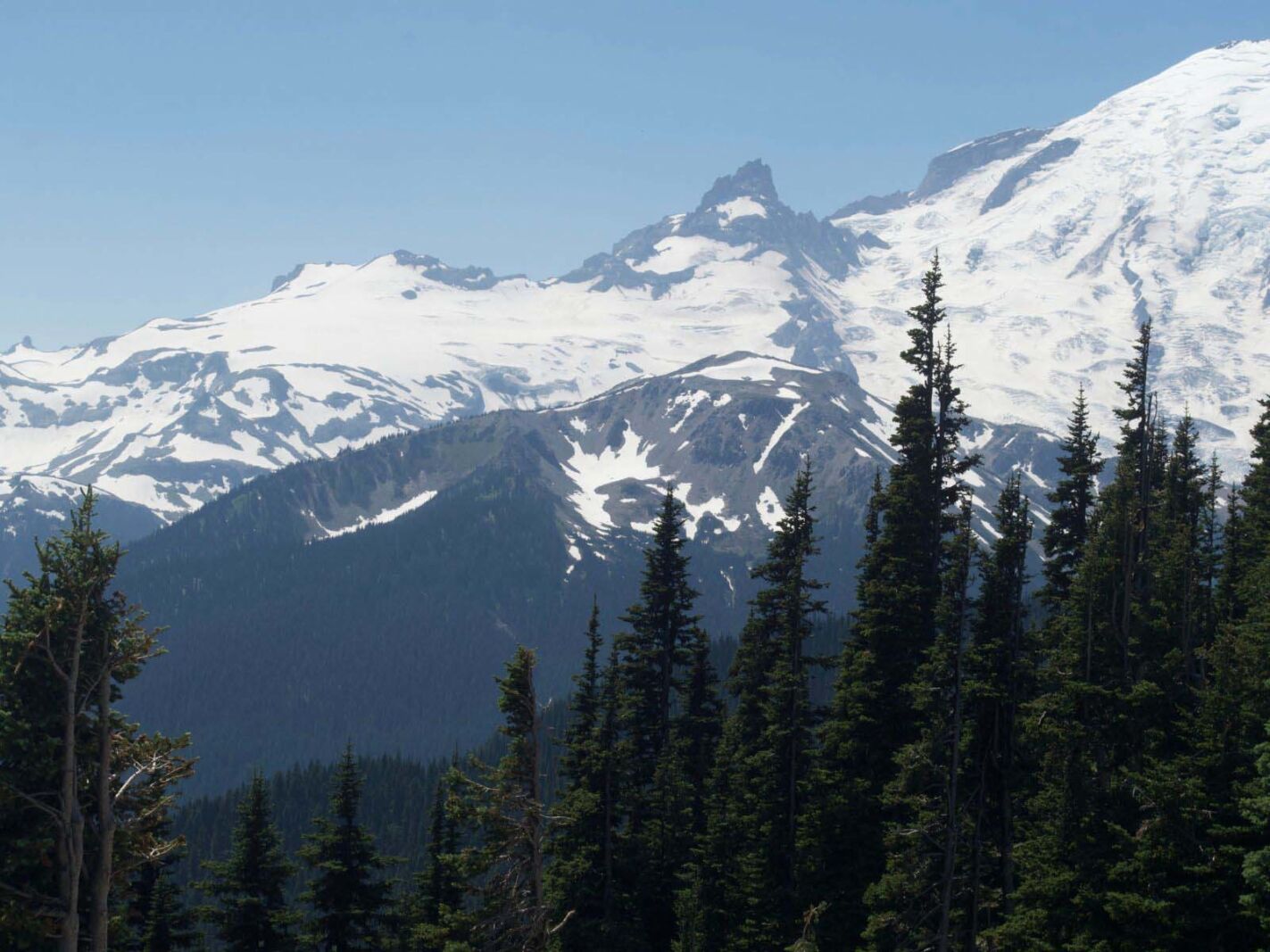 best hikes in mount rainier national park Rampart Ridge 