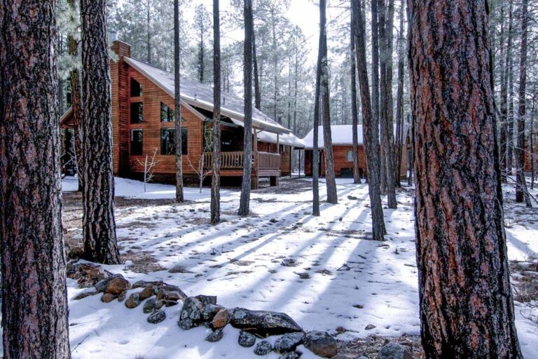cabins in arizona apache sitgreaves