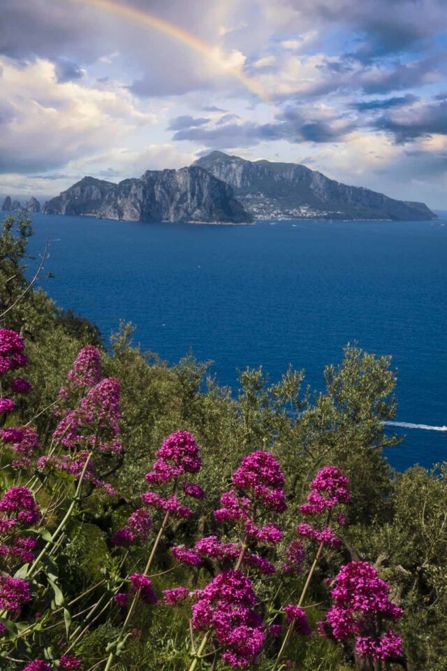 Visit the island of Capri from the Amalfi Coast