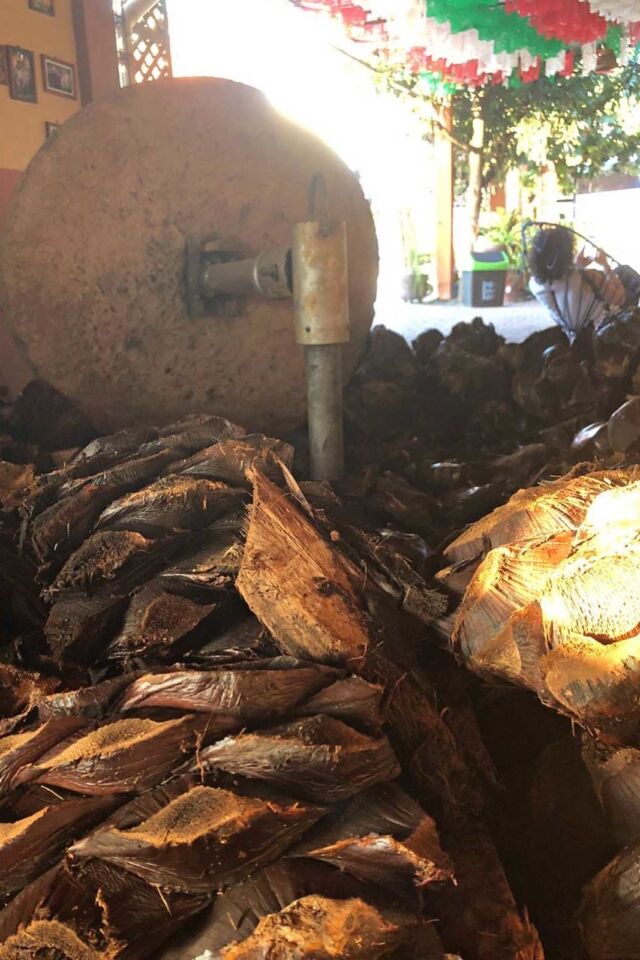 oaxaca city itinerary rey de matatlan mezcal making