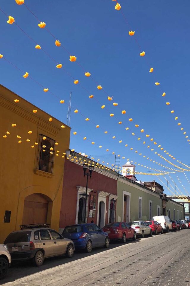 Monte Alban Pyramids downtown