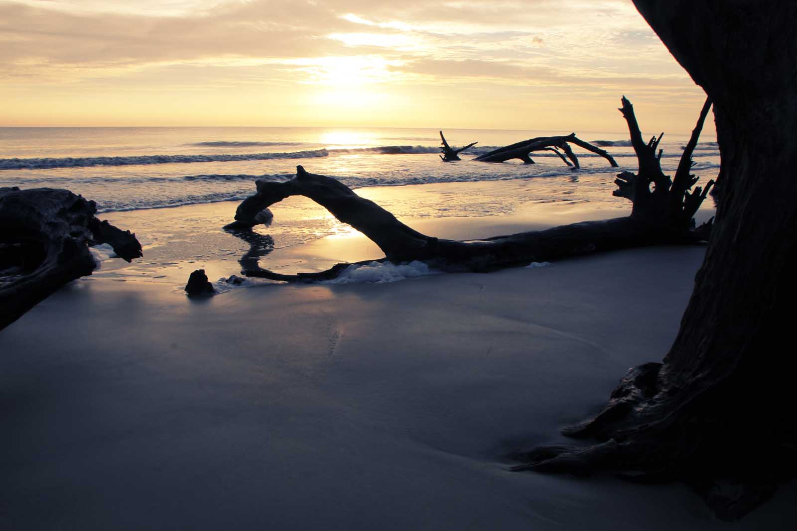 jekyll island