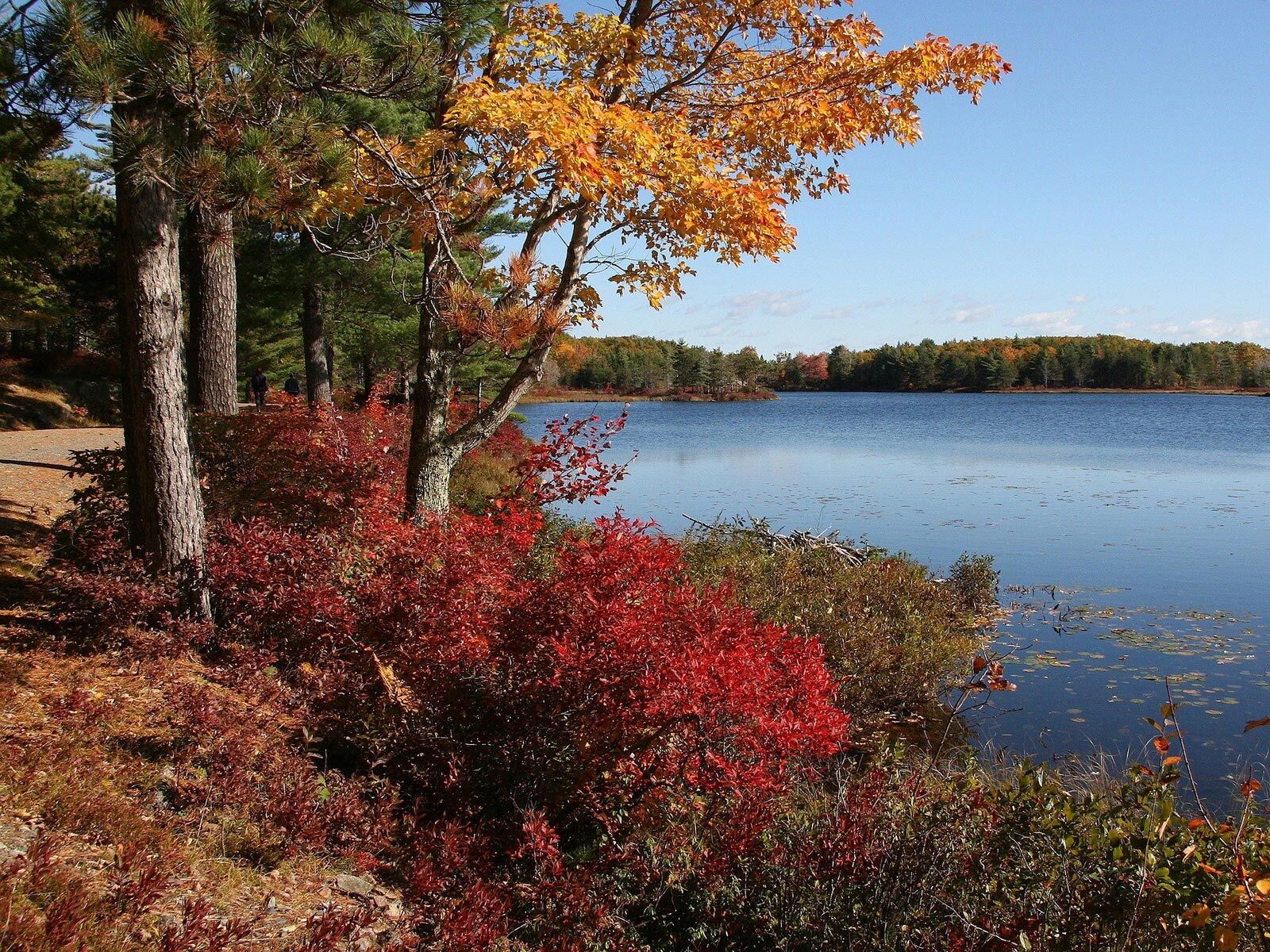 acadia national park
