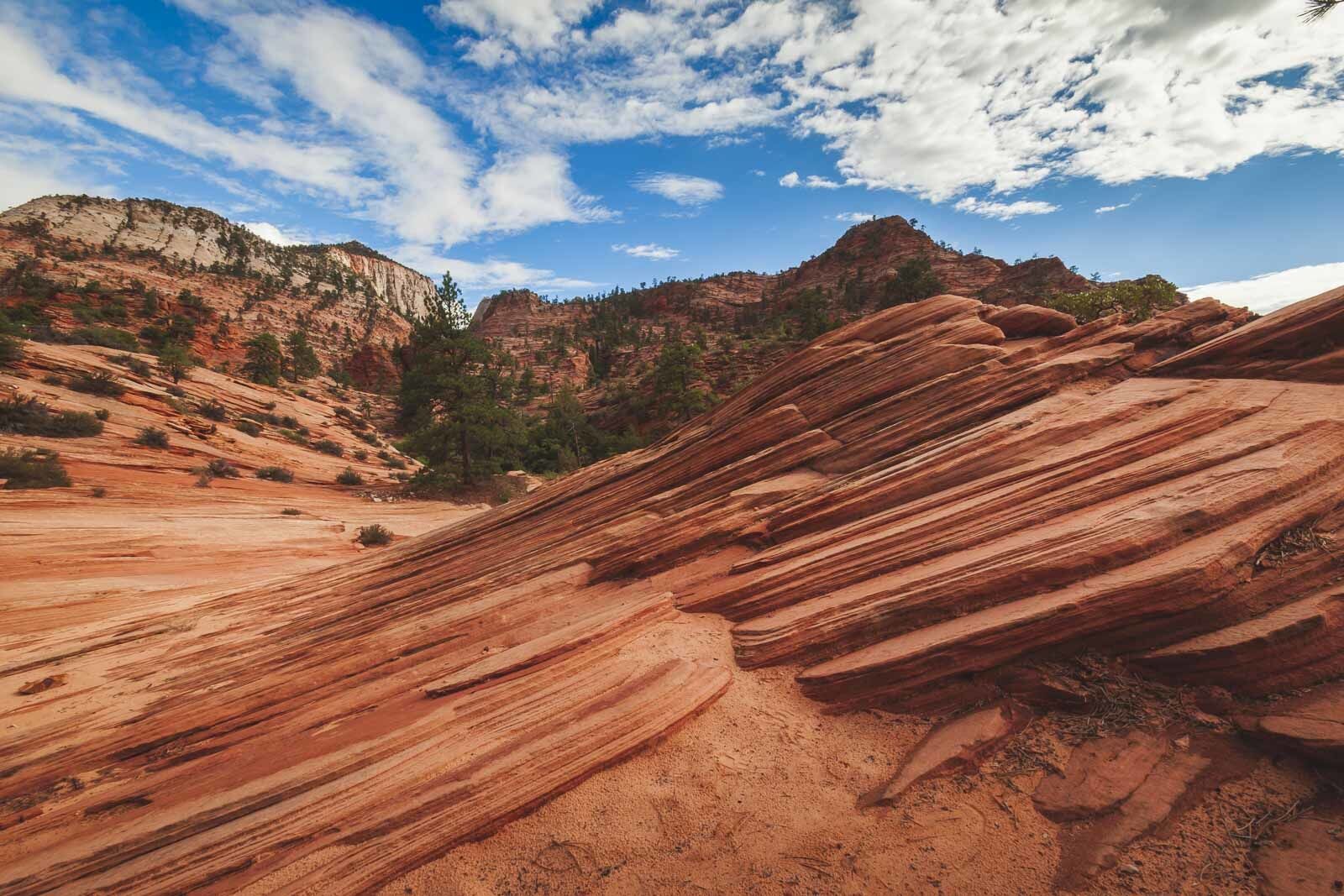 places to visit in the usa zion national park