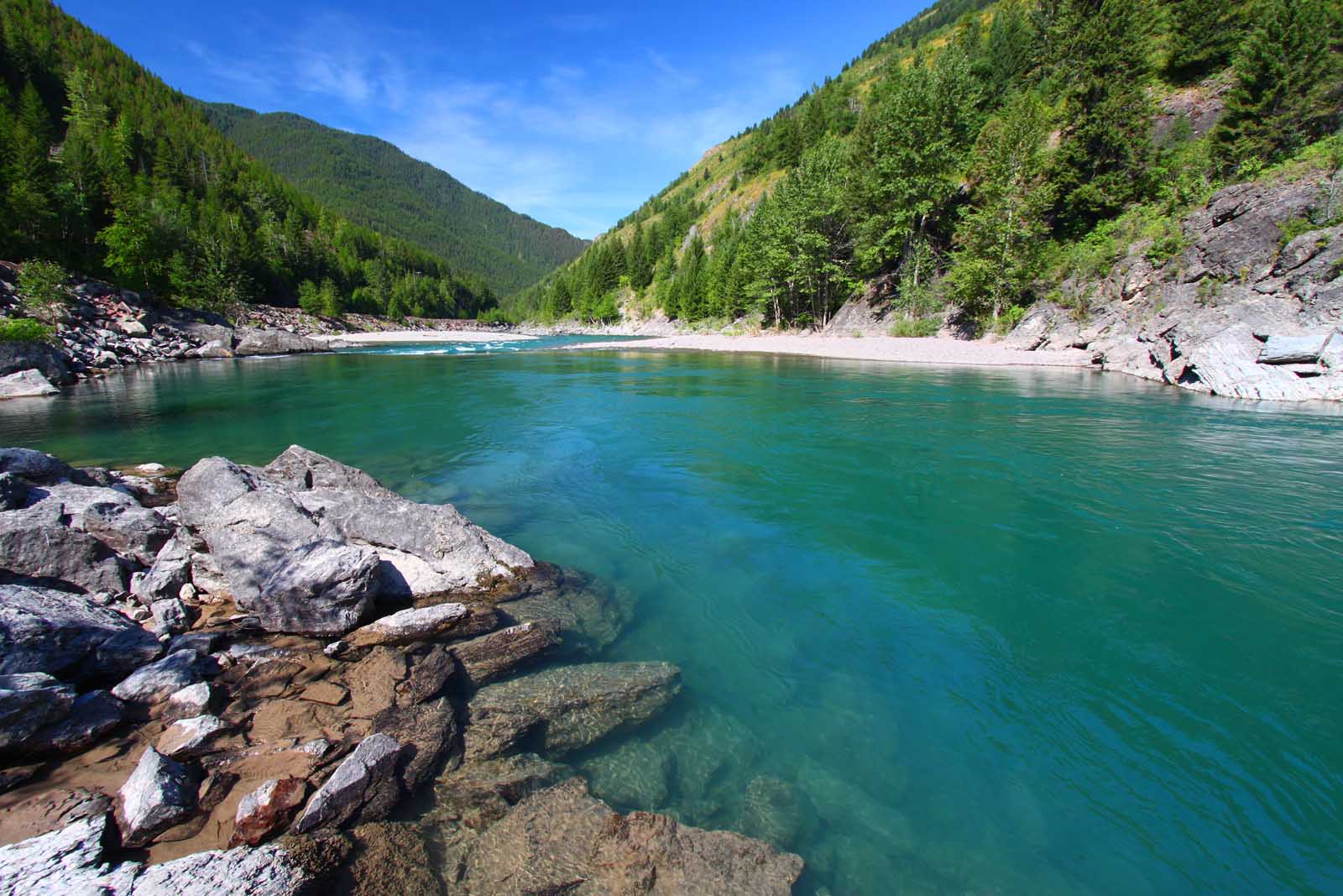Places to Visit in Montana Flathead National Forest