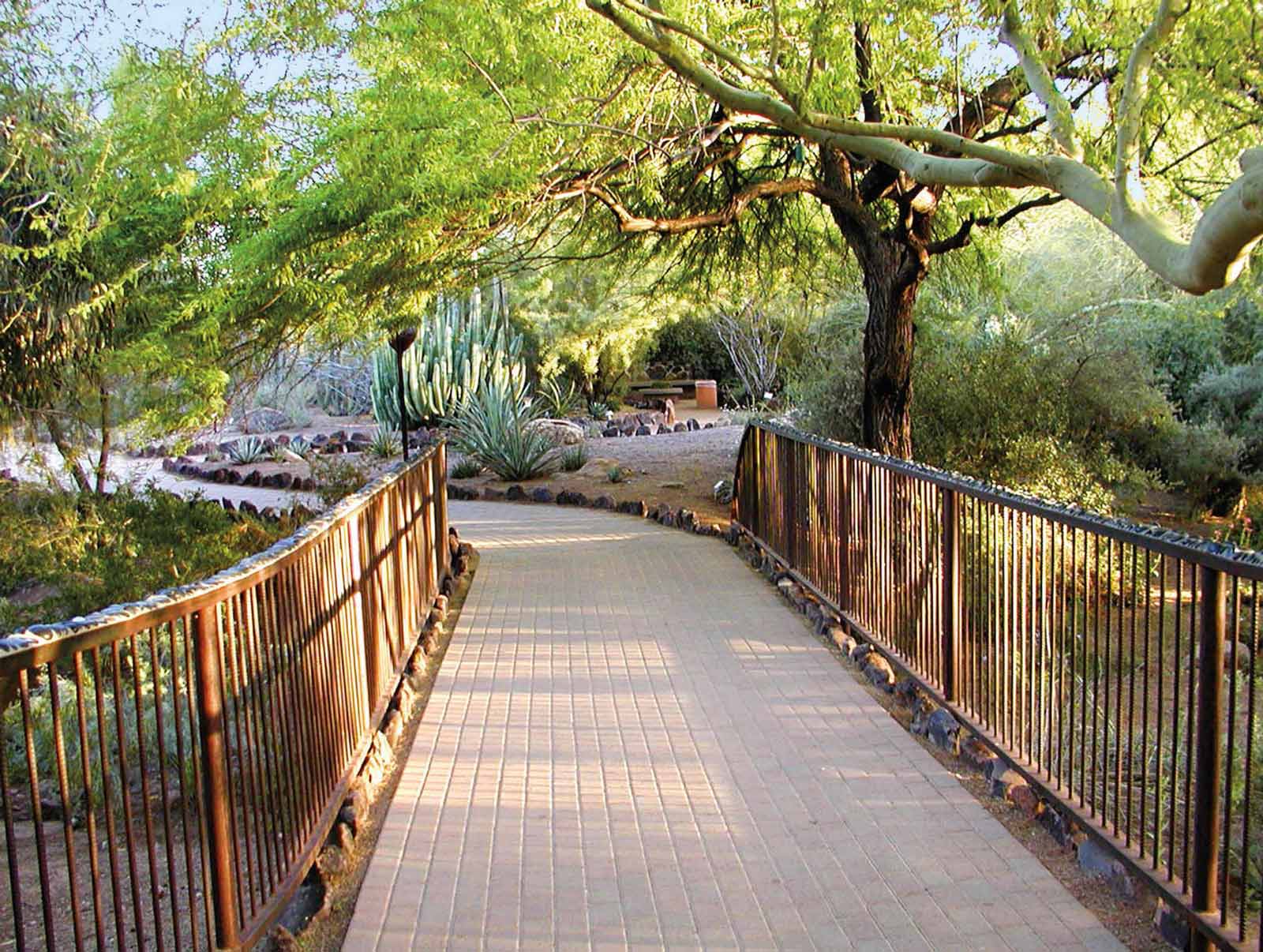 desert botanical garden phoenix