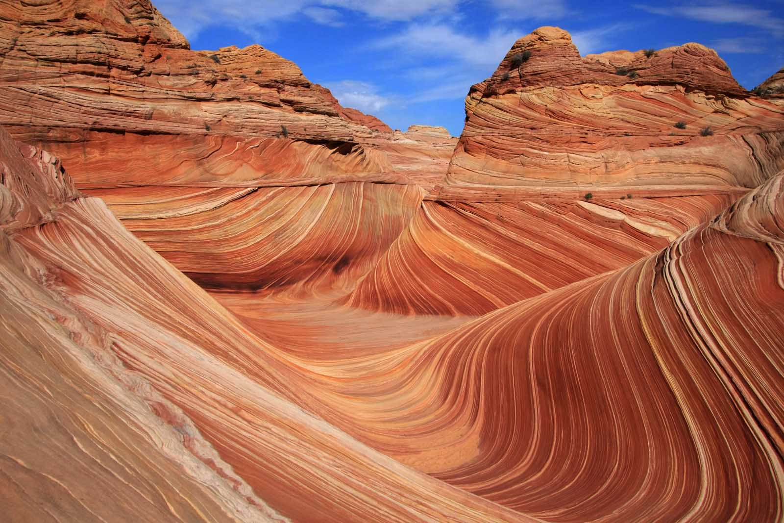 arizona the wave