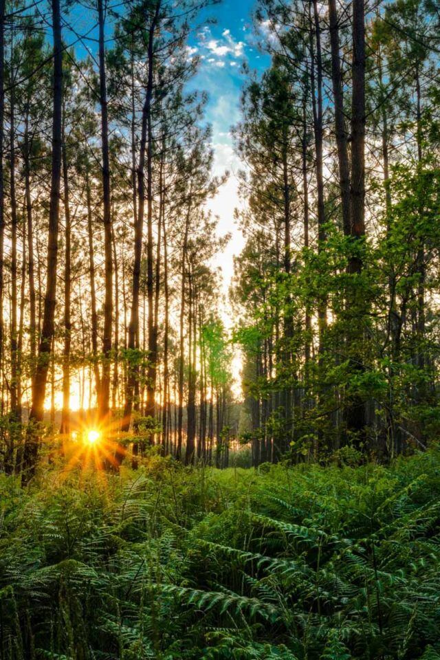 natural parks in the south of france