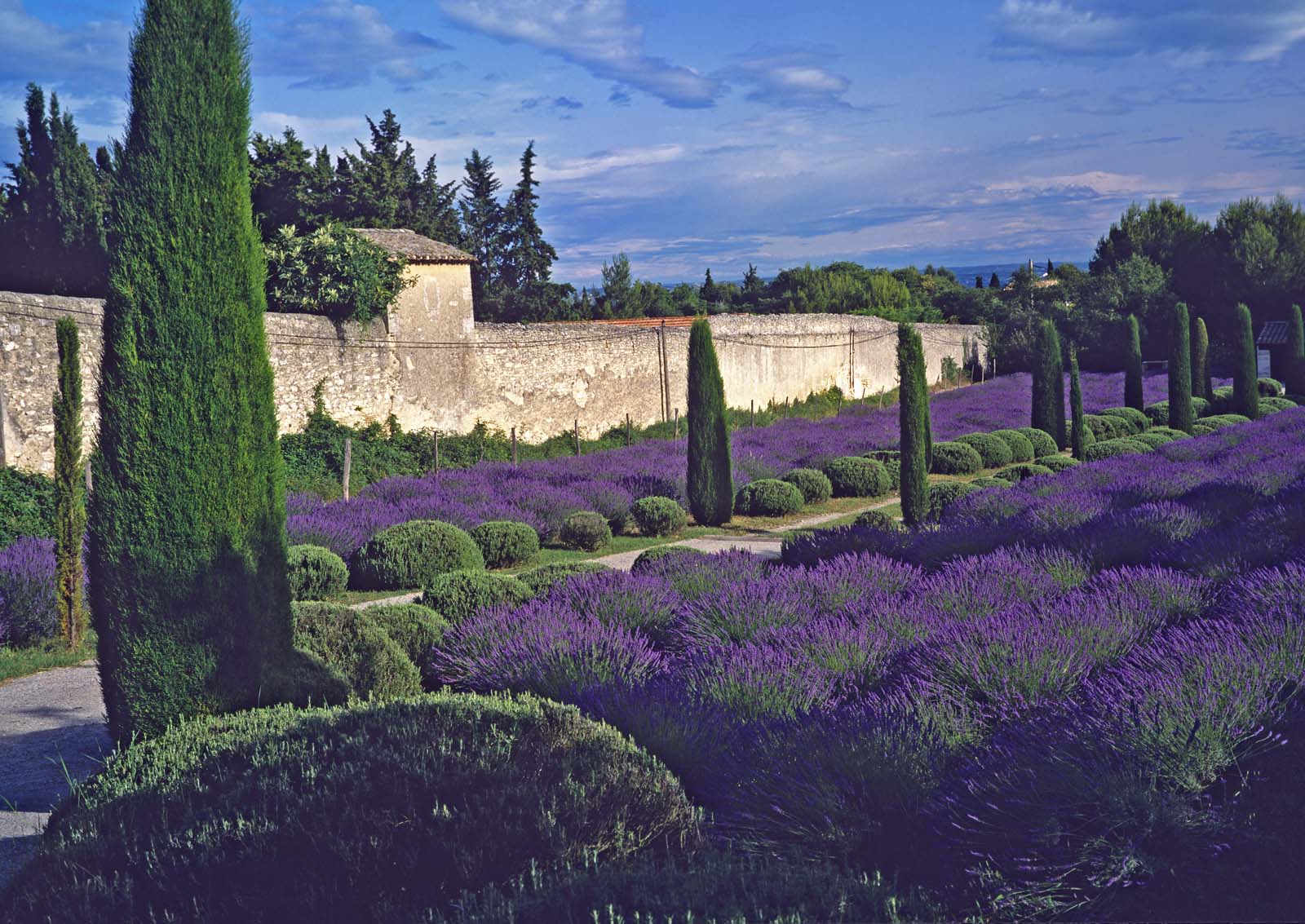 places in france south saint remy de provence