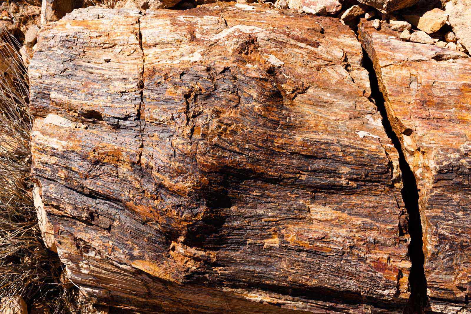 Petrified Wood Trail in Valley of Fire Nevada