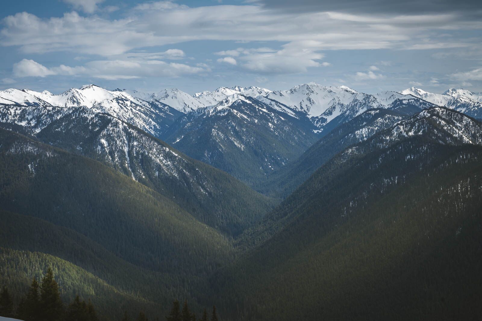 Hurricane Hill Olympic Peninsula