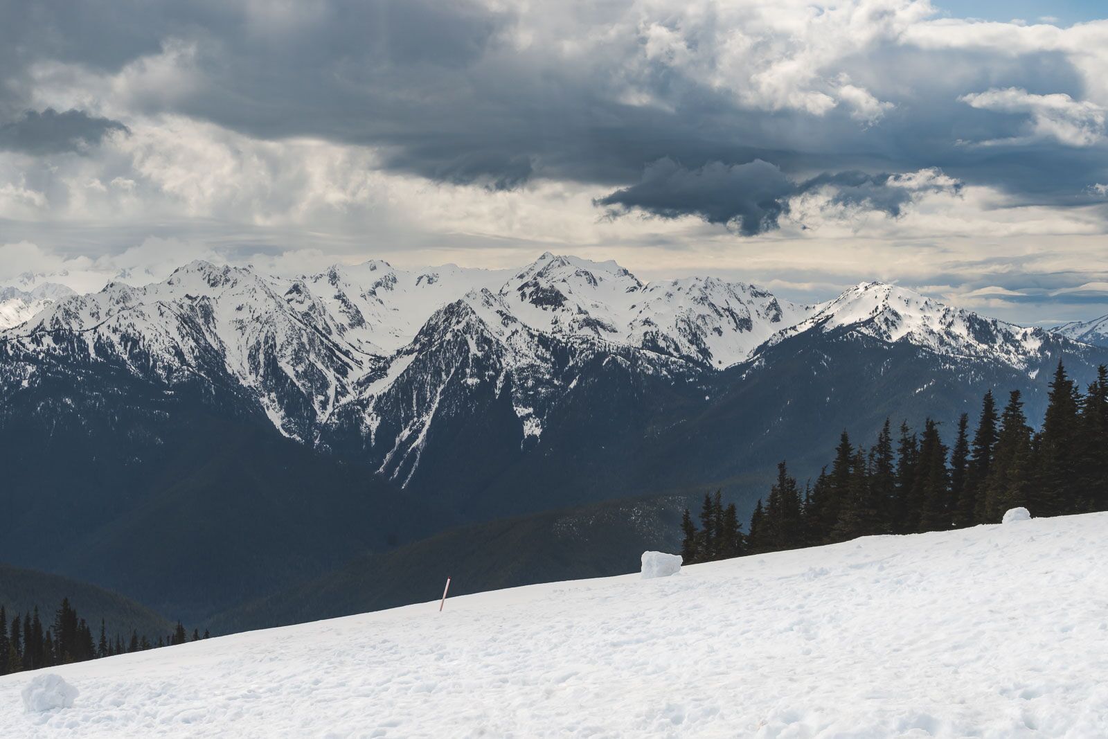 Things to do in Olympic National Park Hurricane Ridge