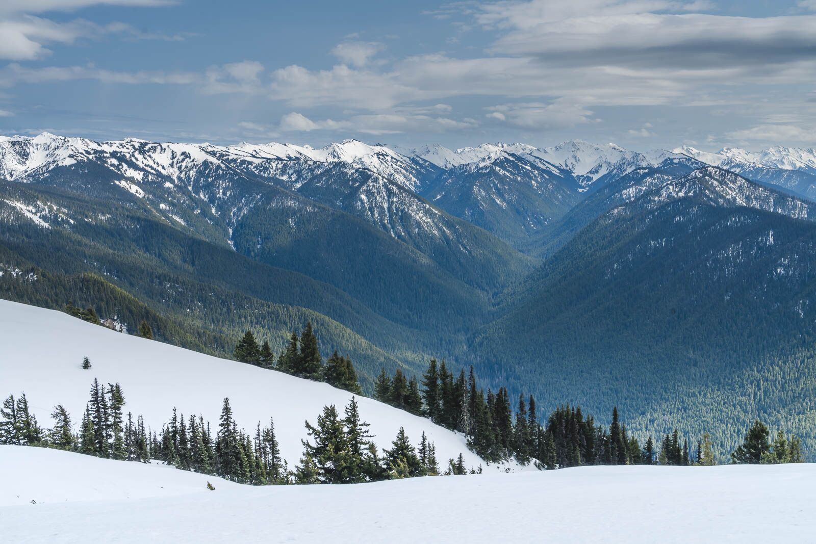 Things to do in Olympic National Park Klahhane Ridge