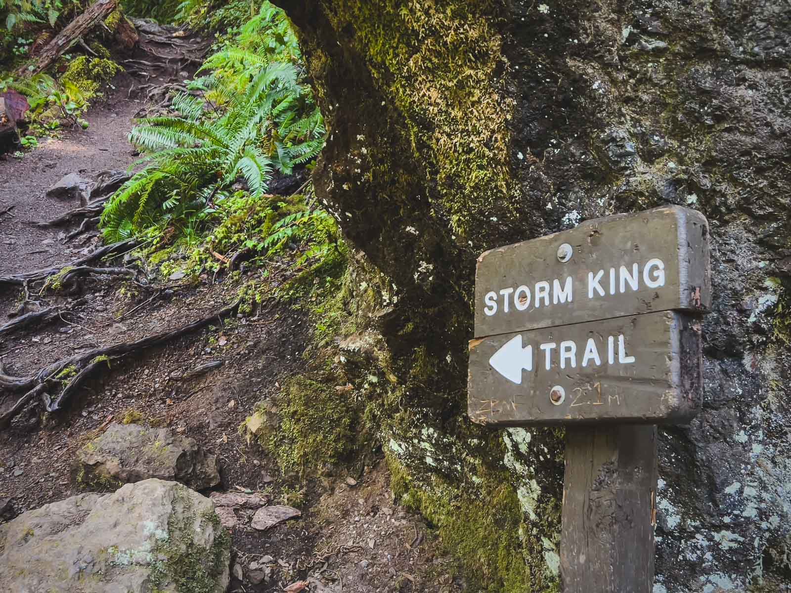 Mount Storm King Olympic Peninsula