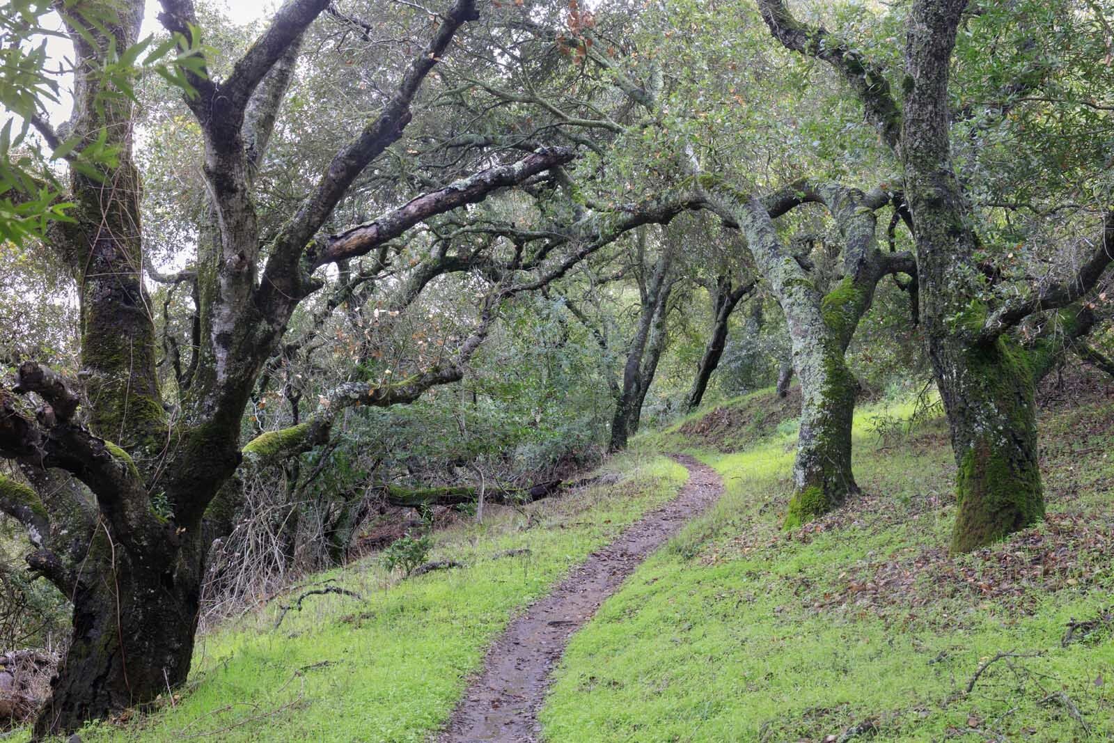 Things to do at Almaden Quicksilver County Park in San Jose