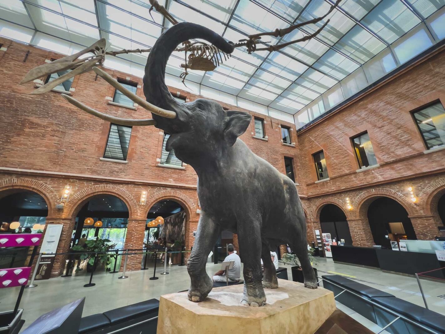 Things to do in Toulouse Lively City