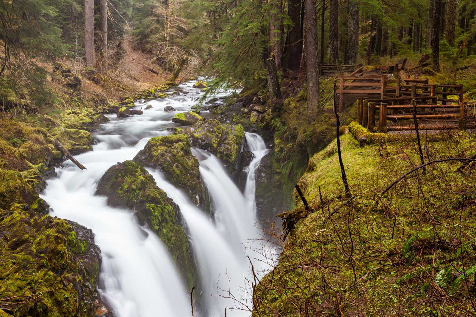 Things to do in Olympic National Park Sol duc Falls