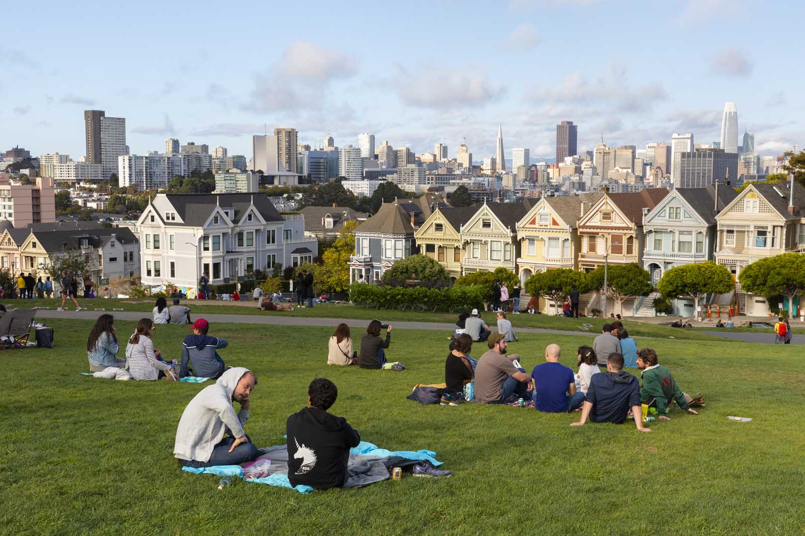 things to do in san francisco alamo park