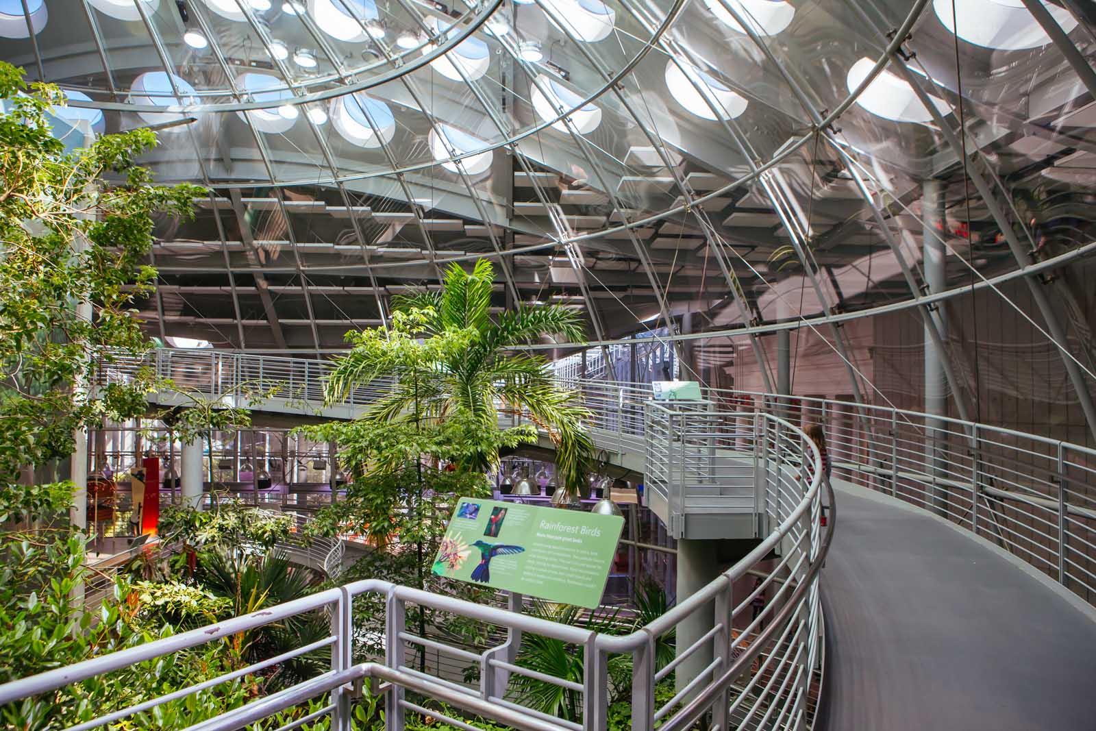 things to do in san francisco california academy of sciences