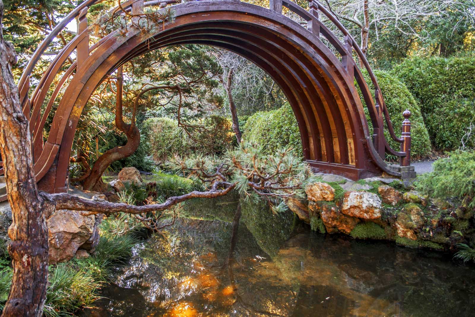 things to do in san francisco japanese tea garden