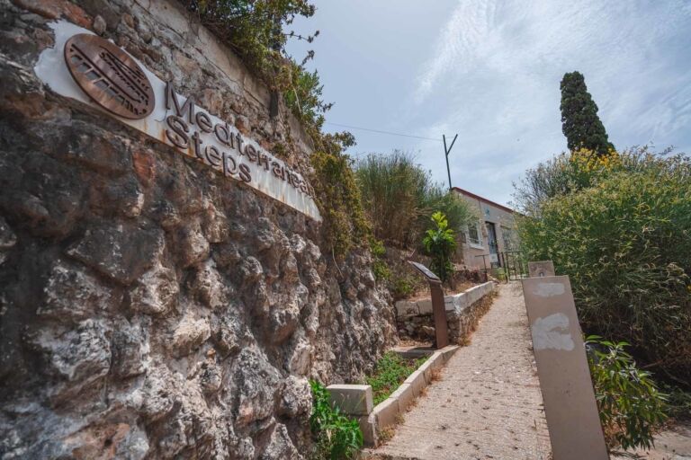 Mediterranean Steps Entrance