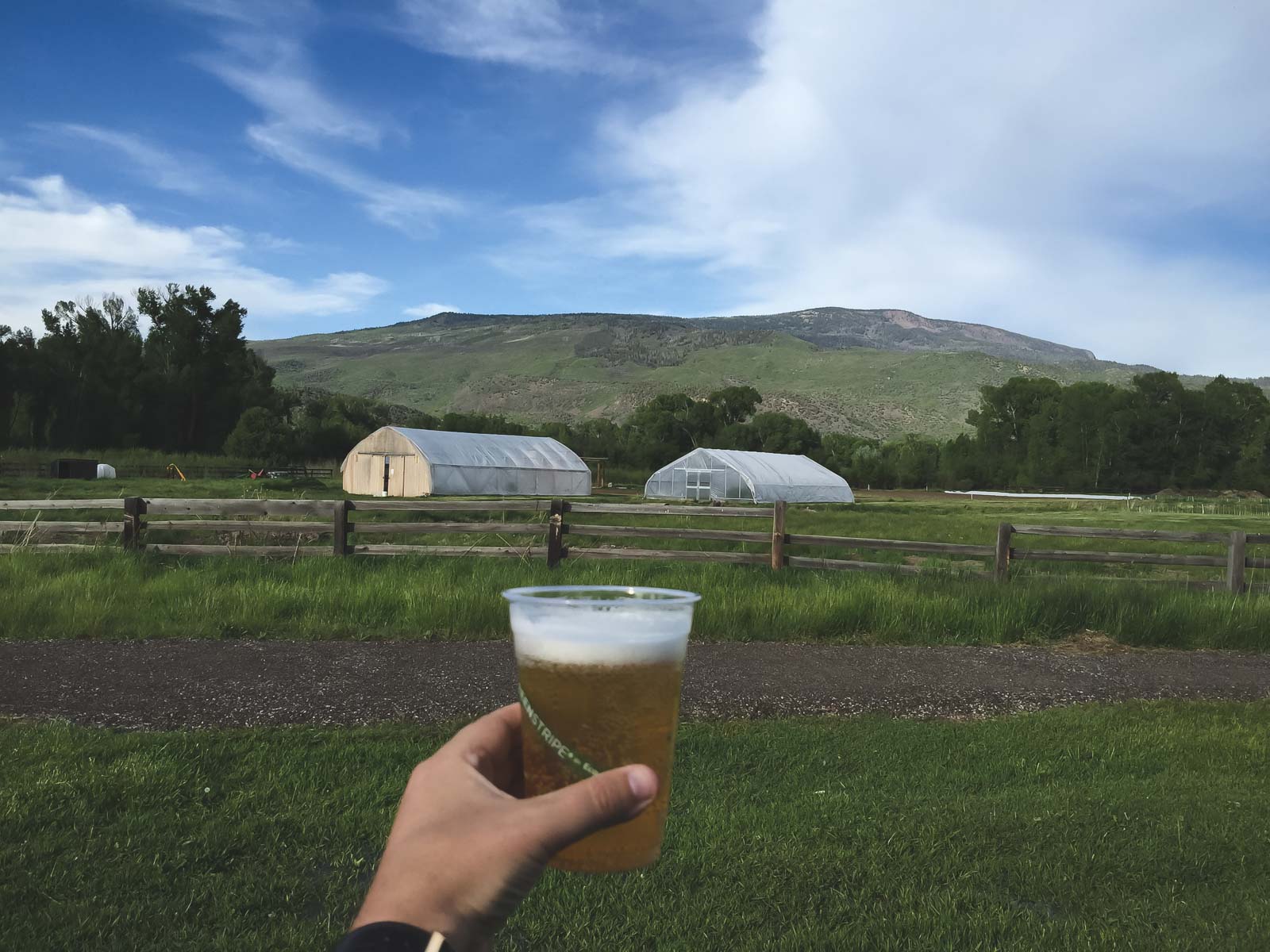 things to do in aspen colorado brewery