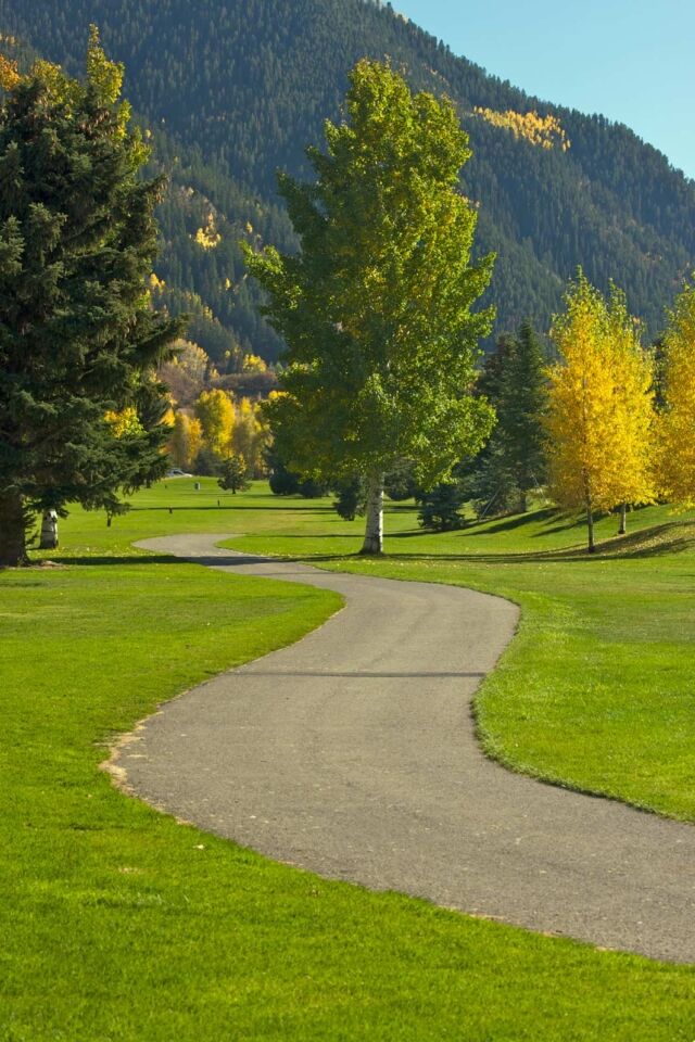 Things to do in Aspen Golfing