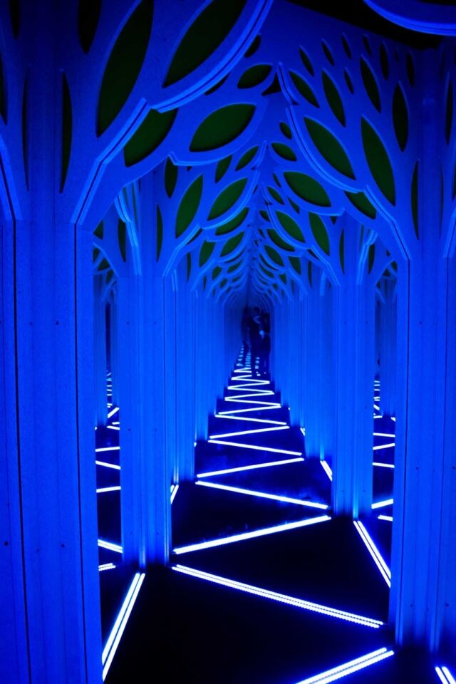 Backstage Mirror Maze