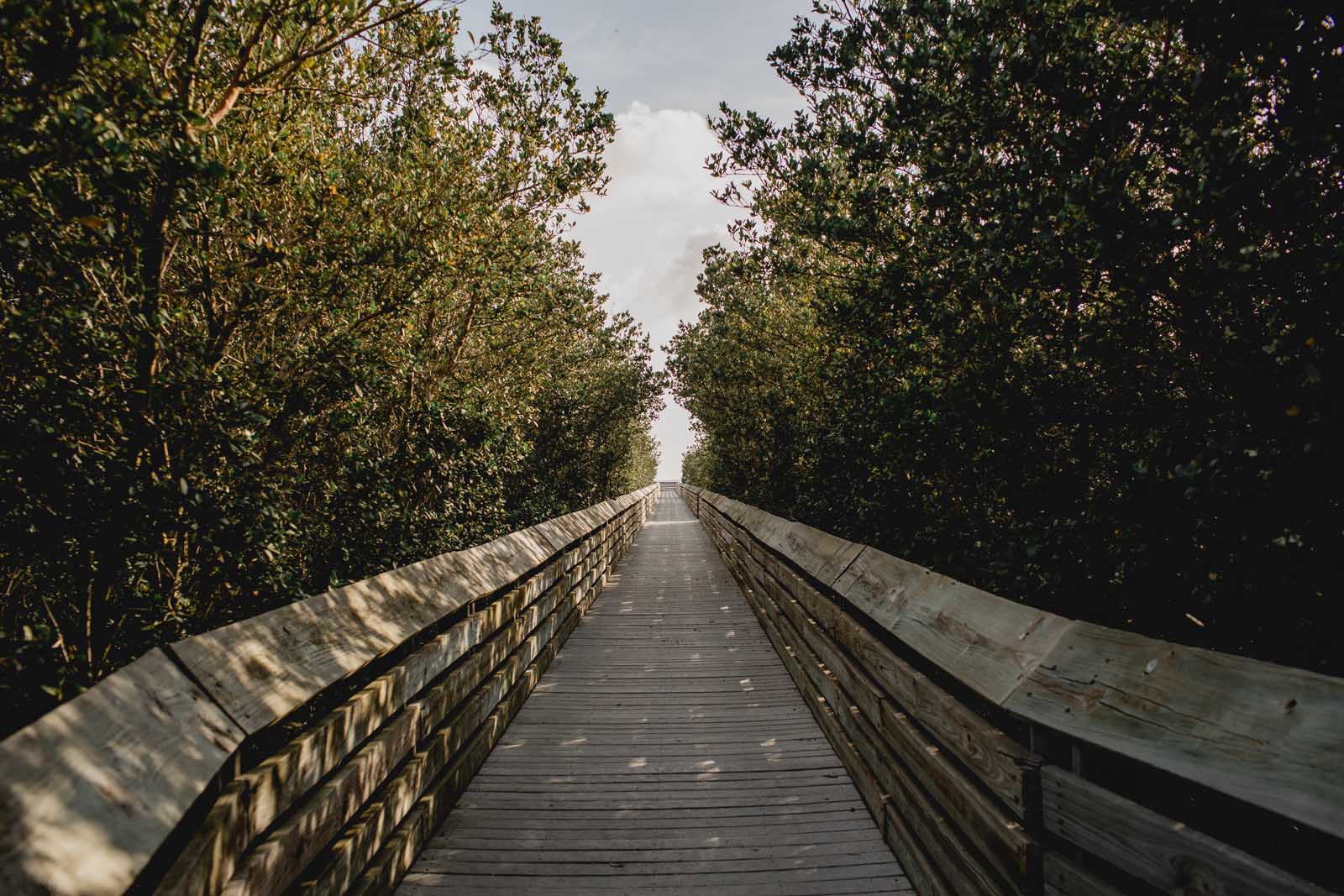 south padre island things to do laguna madre nature trail