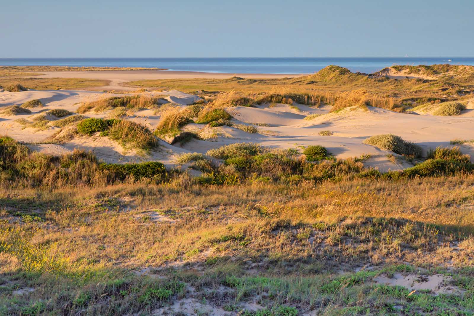 south padre tx things to do sand dunes