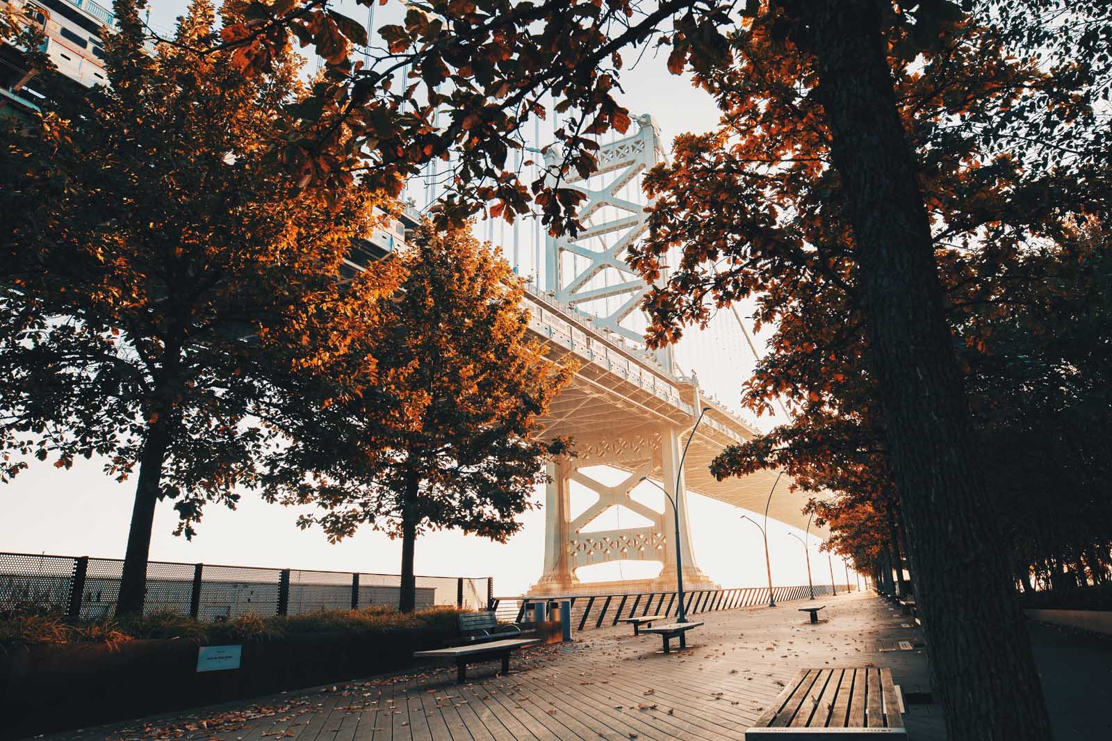 Nice landscape with the view of a bridge