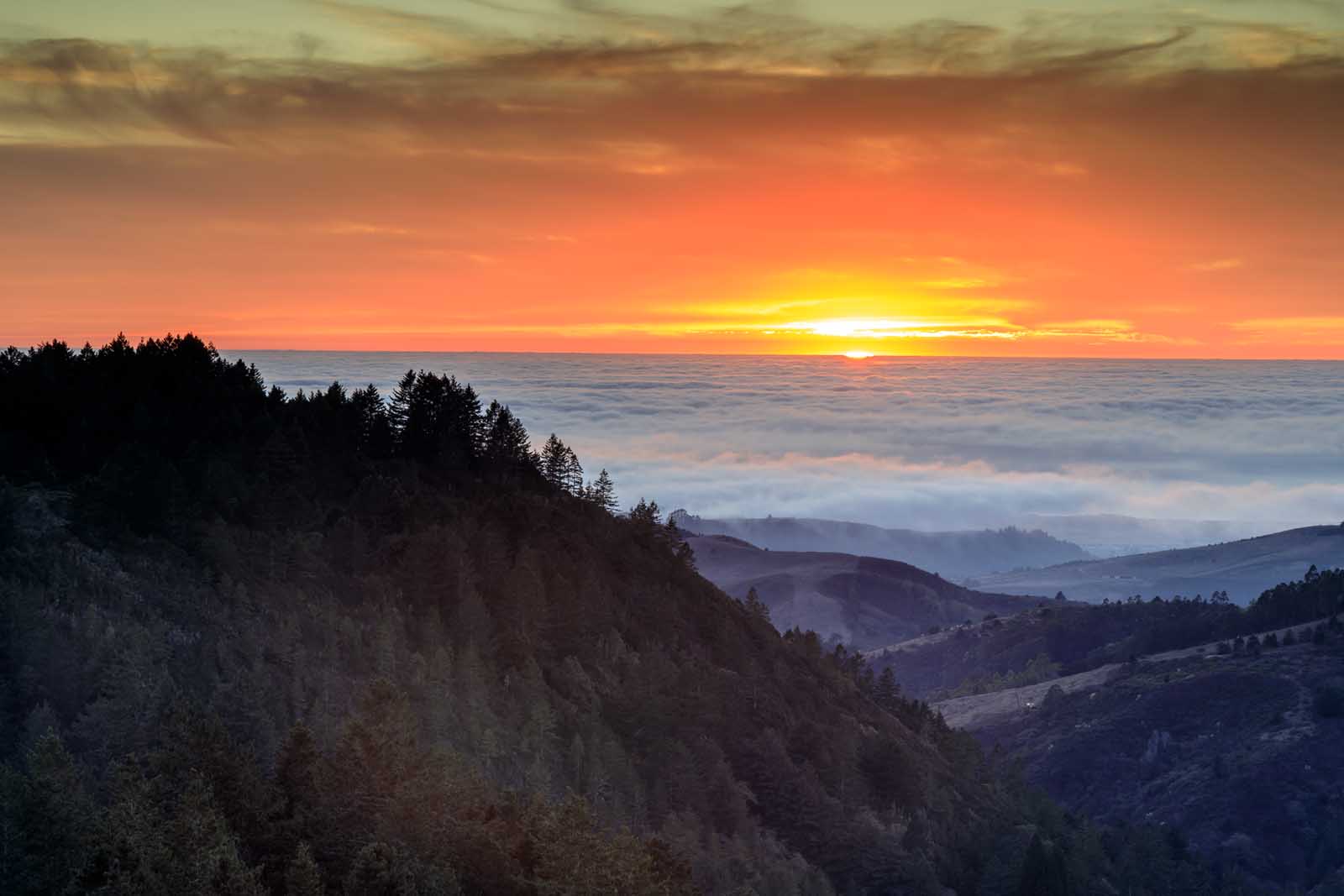 Redwood National Park Guide Redwood Creek Overlook