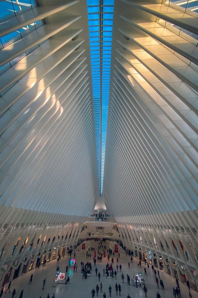 new york city oculos