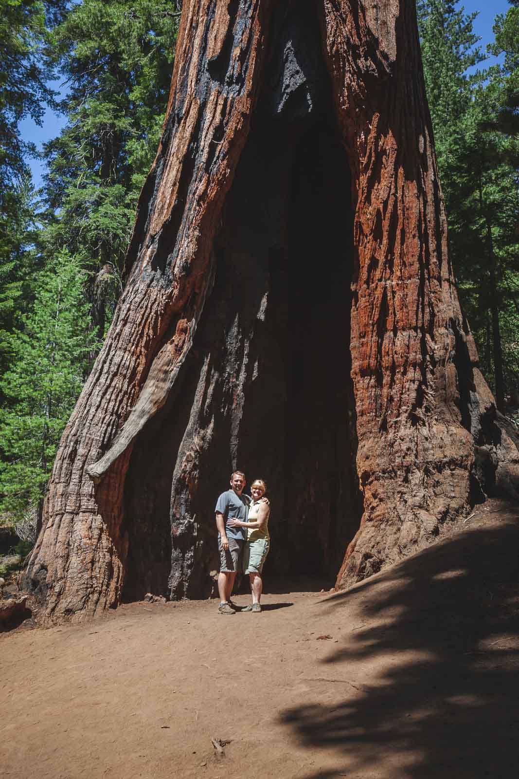 Mariposa Grove in California
