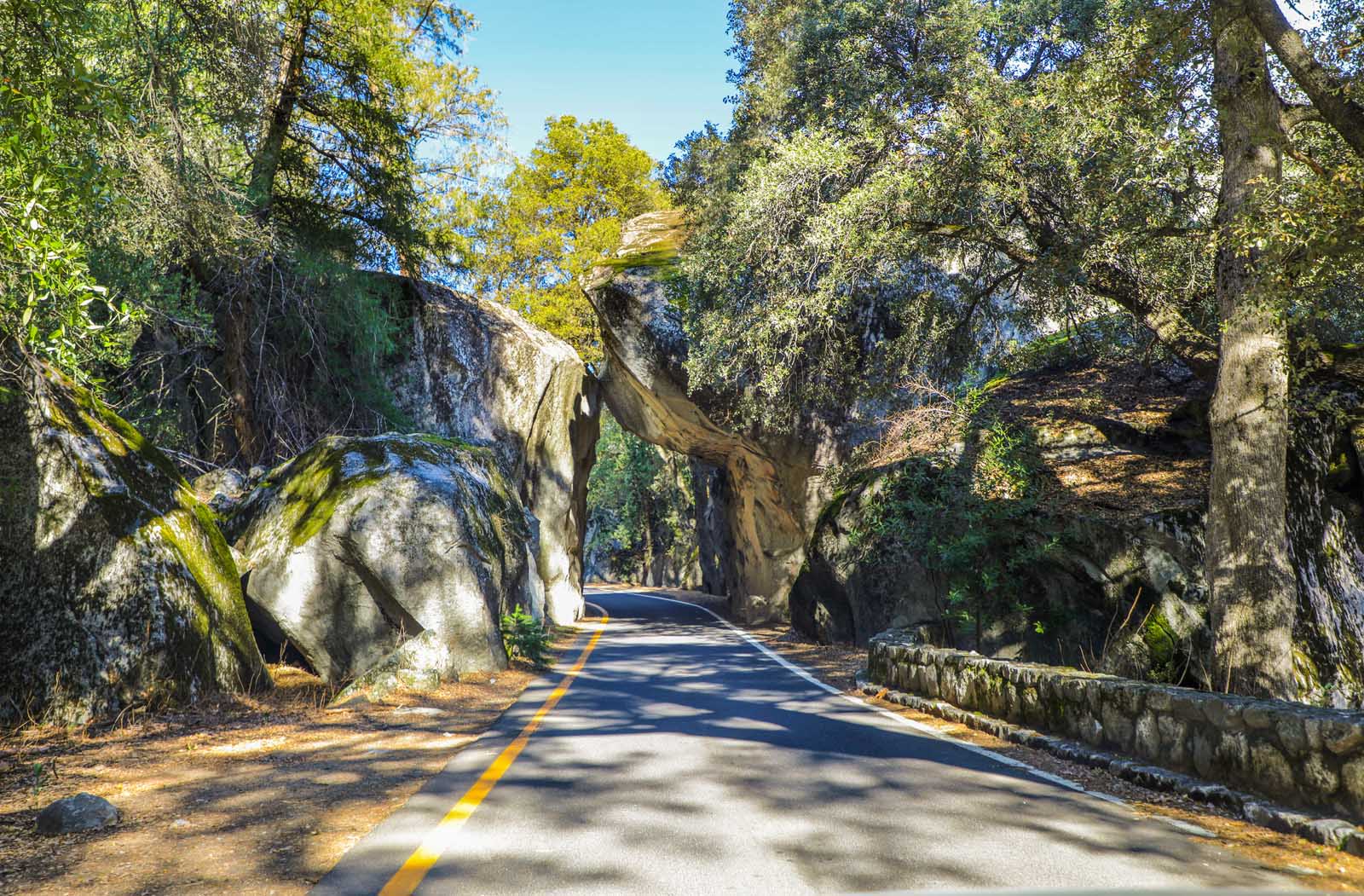 cycling at yosemite