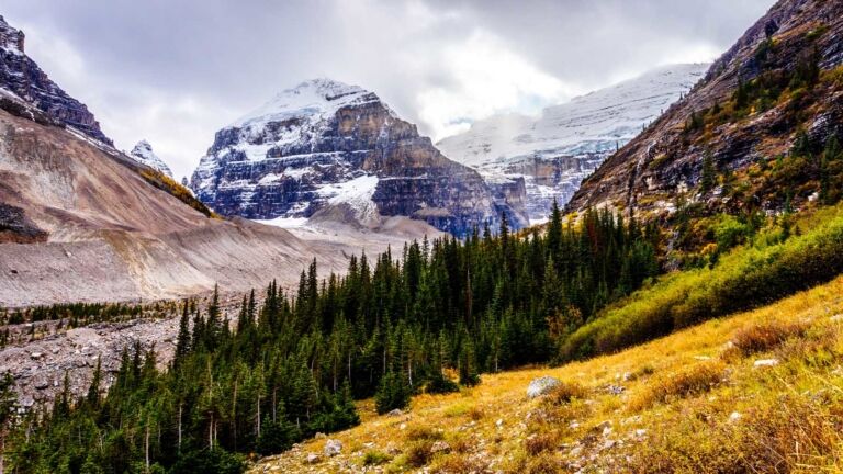 Best Hikes in Banff National Park Tea House